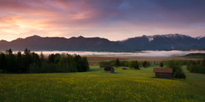 Murnau moor (Murnauer Moos), Bavaria, Germany Murnau moor (Murnauer Moos), Bavaria, Germany
